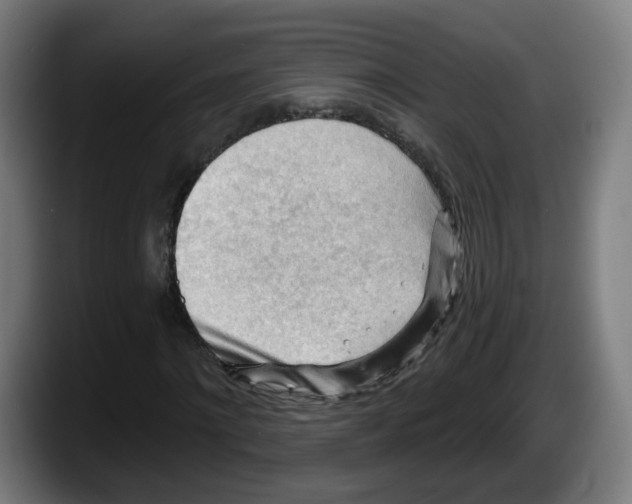 X0000087590868200705251859