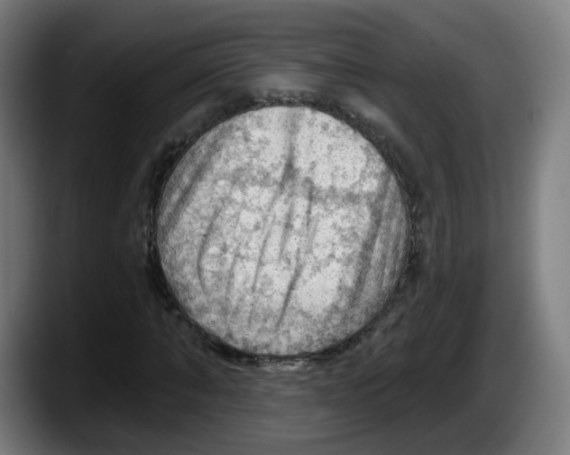 X0000087590870200705251859