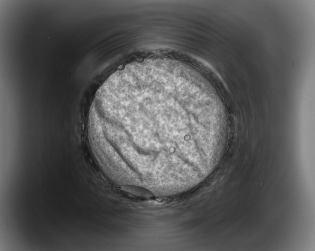 X0000087590871200705251859