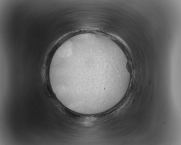 X0000087590878200705251859
