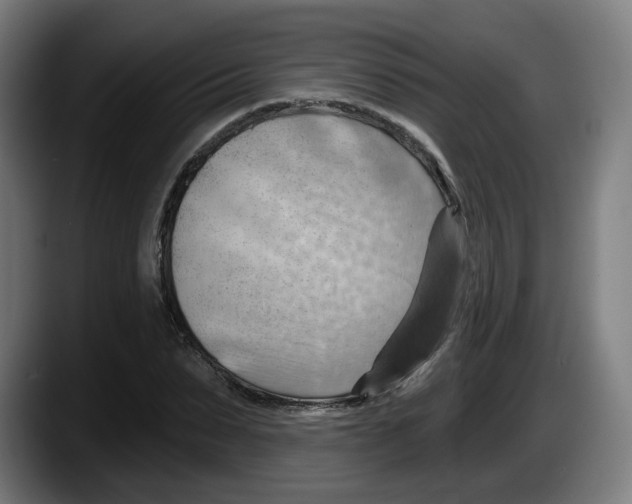 X0000087590879200705251859