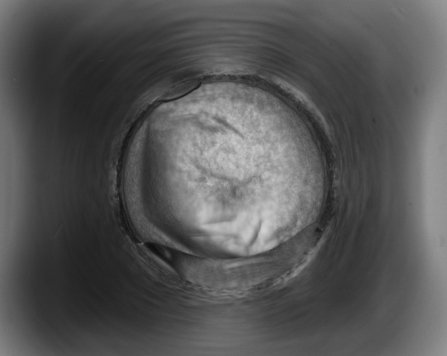 X0000087590881200705251859