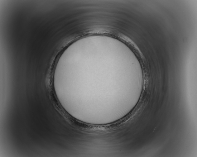 X0000087590882200705251859