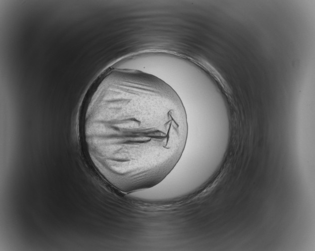 X0000087590884200705251859