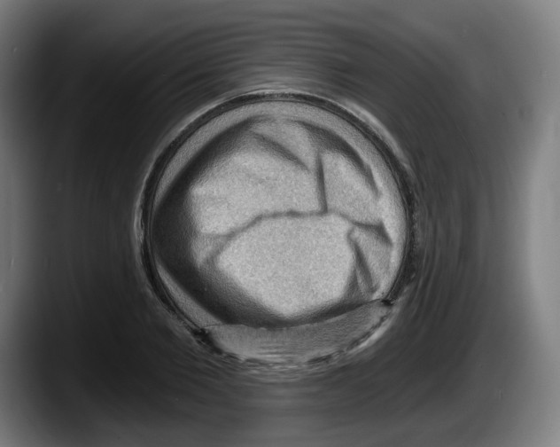 X0000087590885200705251859