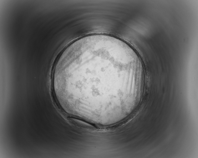 X0000087590890200705251859