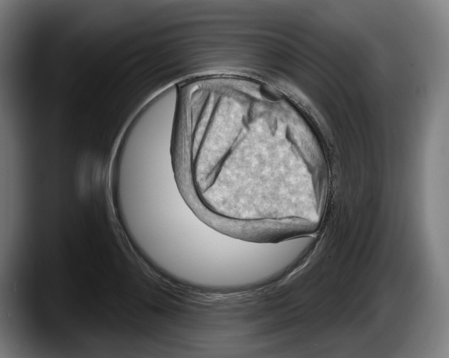 X0000087590892200705251859