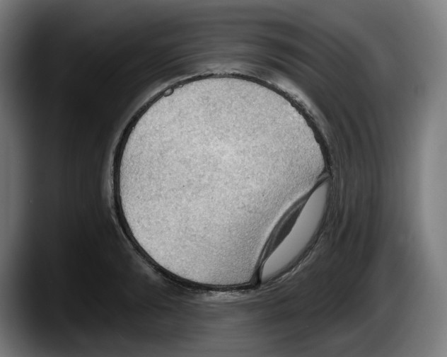 X0000087590894200705251859