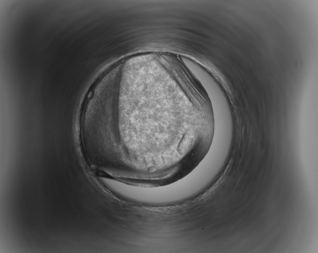 X0000087590896200705251859