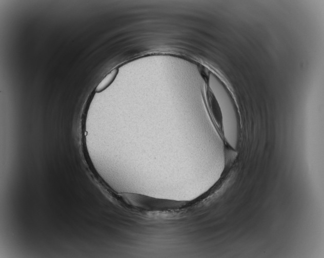 X0000087590898200705251859
