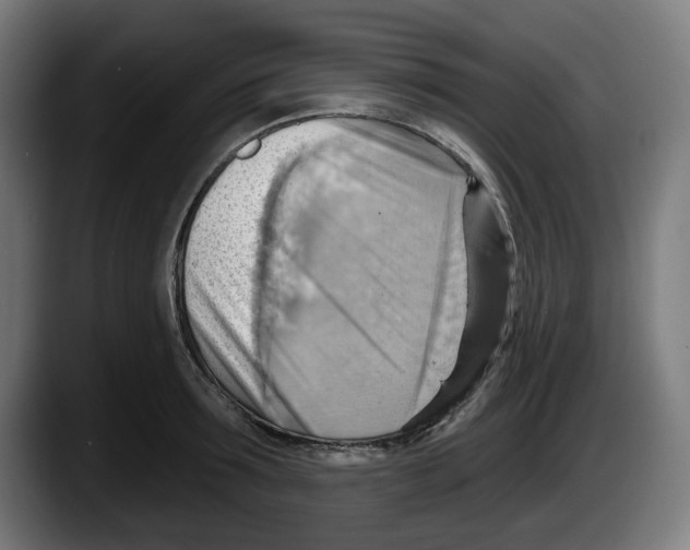 X0000087590899200705251859