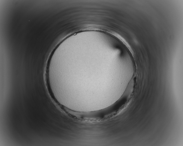 X0000087590901200705251859