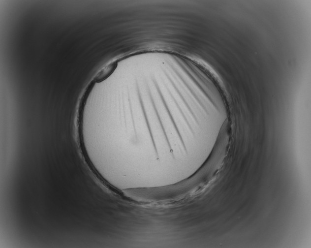 X0000087590902200705251859