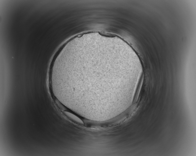 X0000087590904200705251859