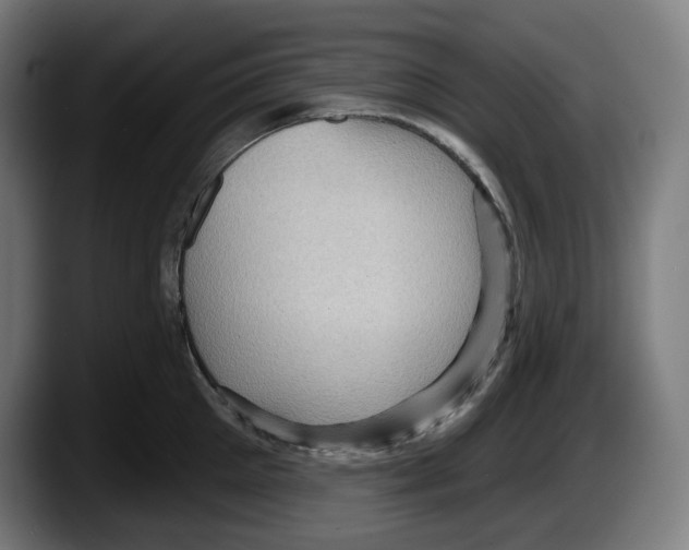 X0000087590905200705251859