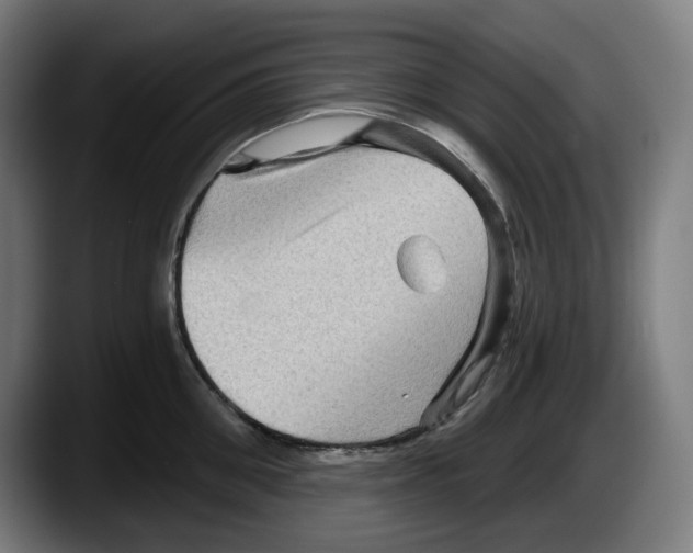 X0000087590906200705251859