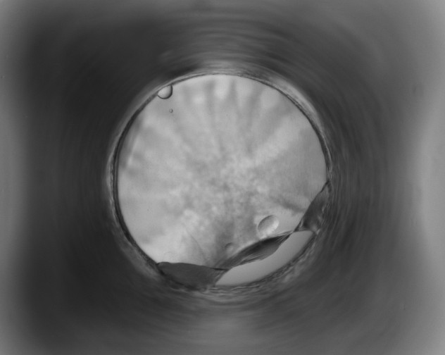 X0000087590907200705251859