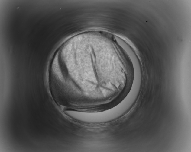 X0000087590910200705251859