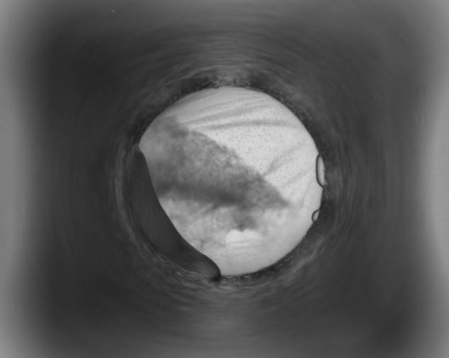 X0000087590913200705251858