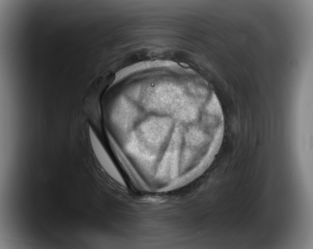 X0000087590914200705251858