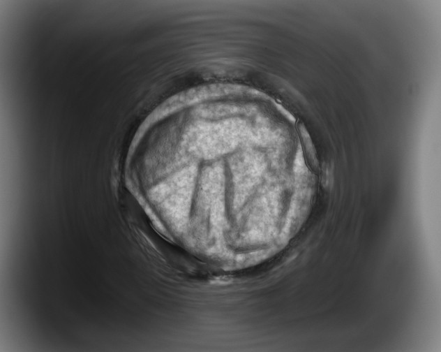 X0000087590915200705251858