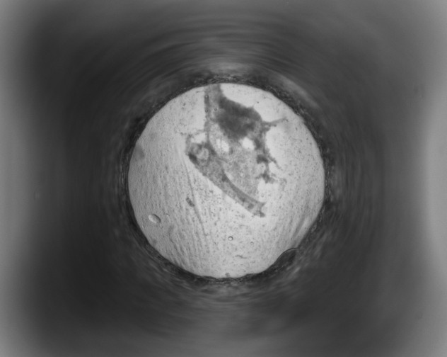 X0000087590917200705251858