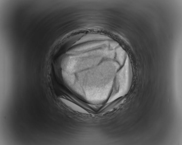 X0000087590920200705251858