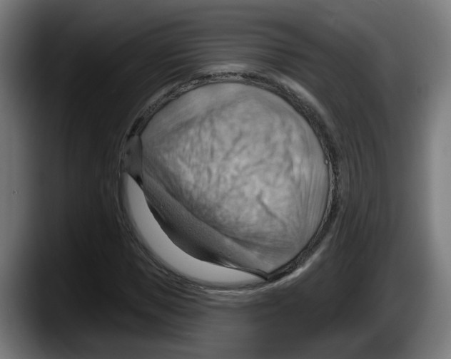 X0000087590921200705251858