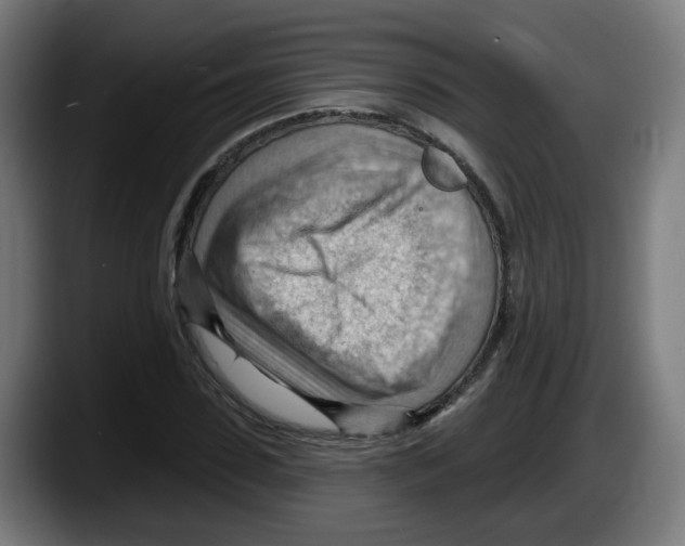 X0000087590923200705251858