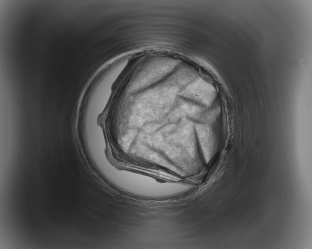 X0000087590924200705251858
