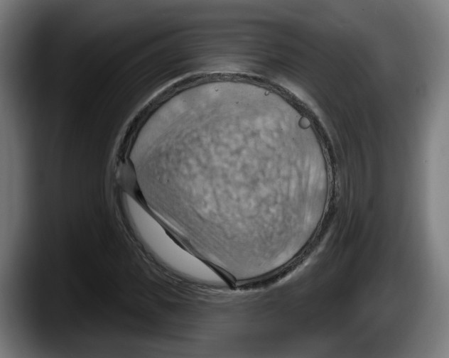 X0000087590925200705251858