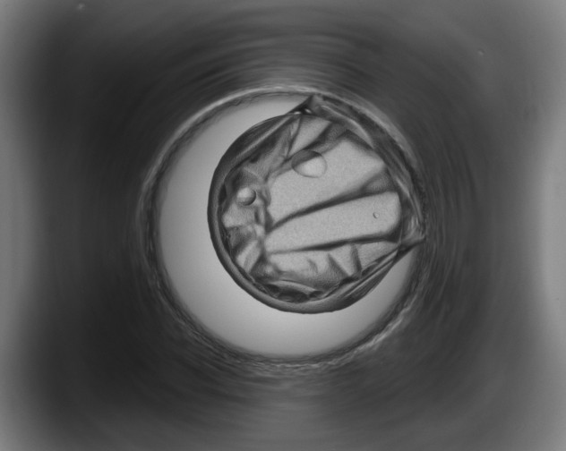 X0000087590926200705251858