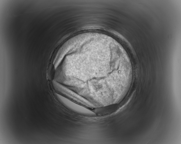 X0000087590929200705251858