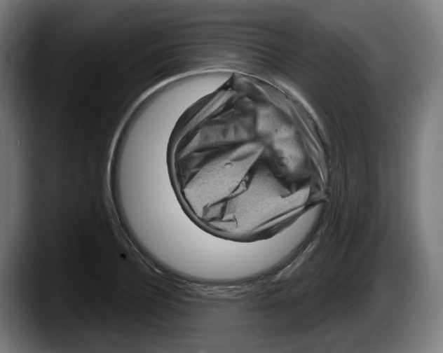 X0000087590932200705251858
