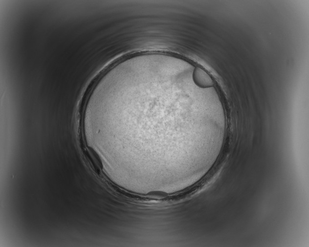X0000087590933200705251858