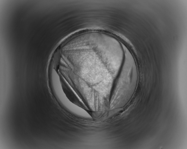 X0000087590935200705251858