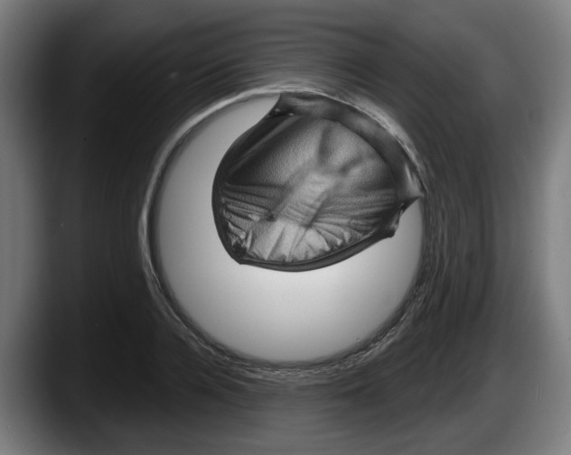 X0000087590936200705251858