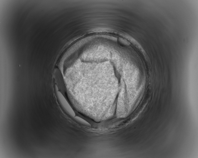 X0000087590937200705251858