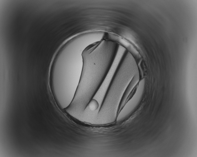 X0000087590940200705251858