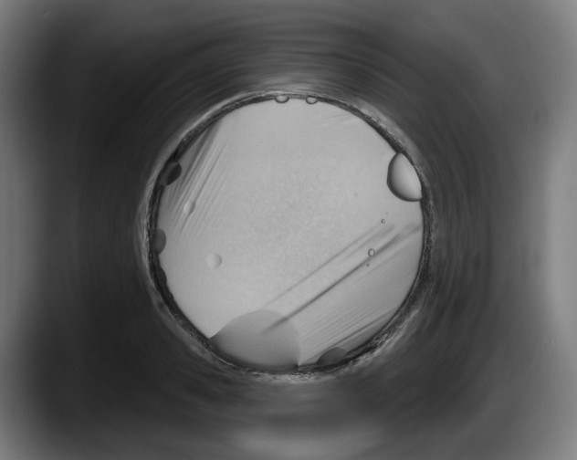 X0000087590941200705251858