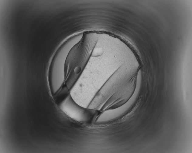 X0000087590942200705251858