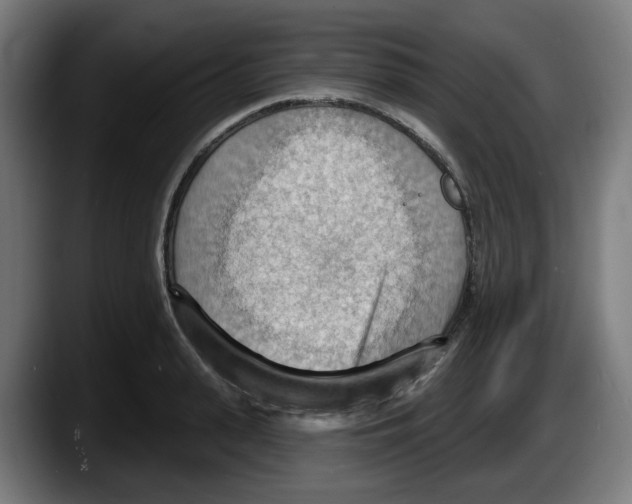 X0000087590943200705251858