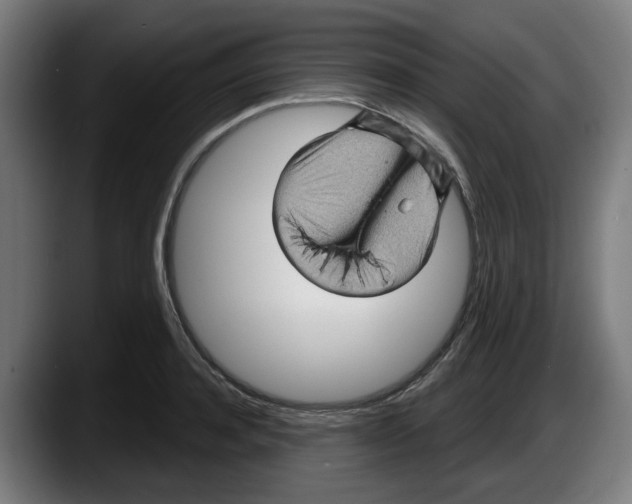 X0000087590944200705251858