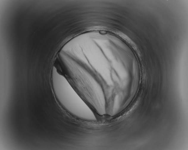 X0000087590945200705251858