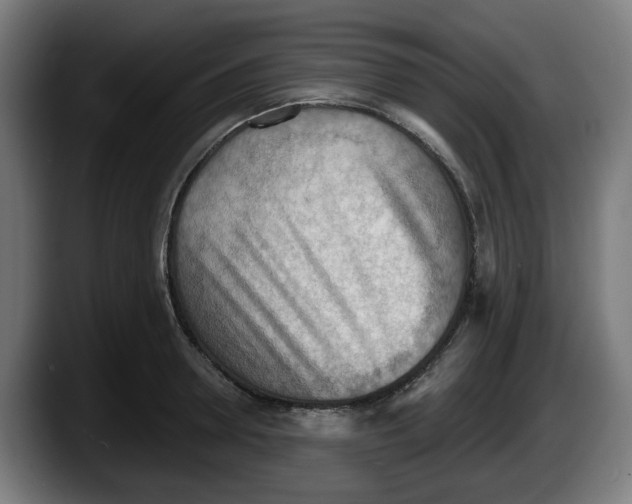 X0000087590946200705251858