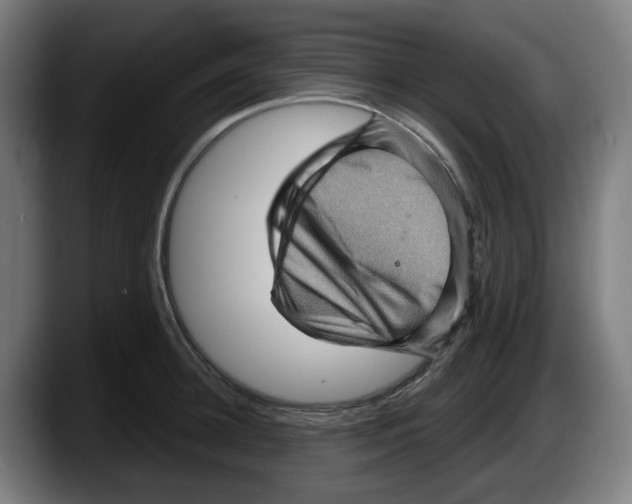 X0000087590948200705251859