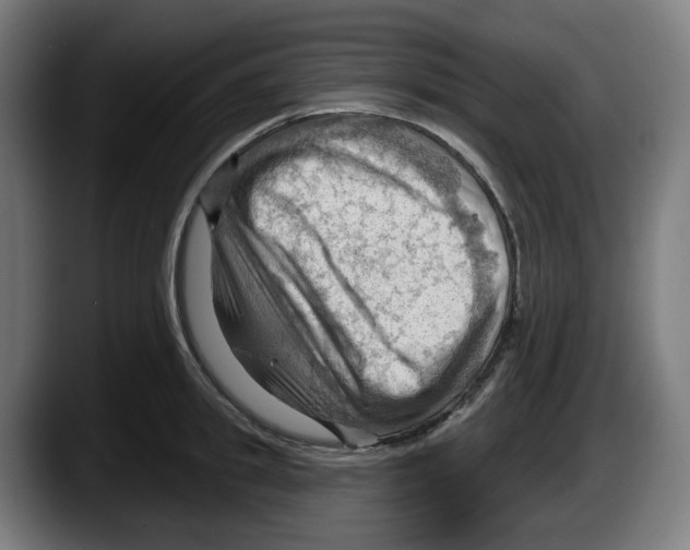 X0000087590949200705251859