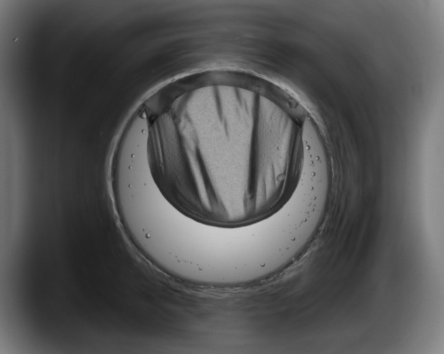X0000087590950200705251859