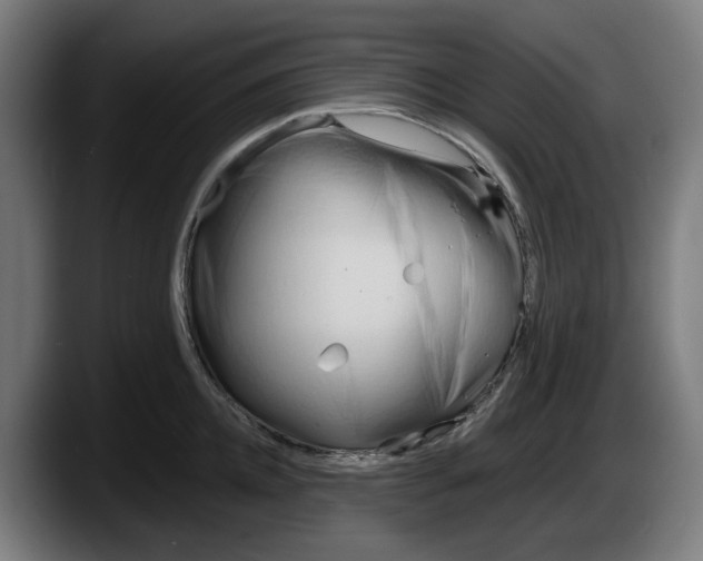 X0000087590952200705251859
