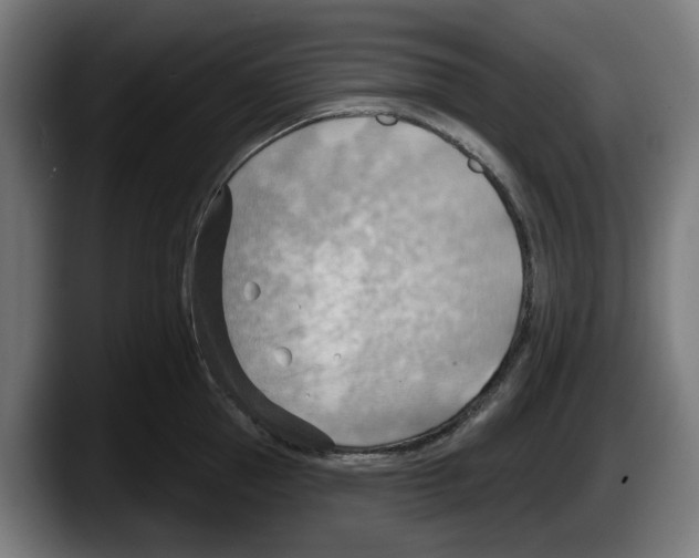 X0000087590953200705251859